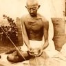 Kaushik 的头像