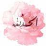 عطر الجنه 的头像
