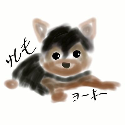 /*とりも*/'s profile picture
