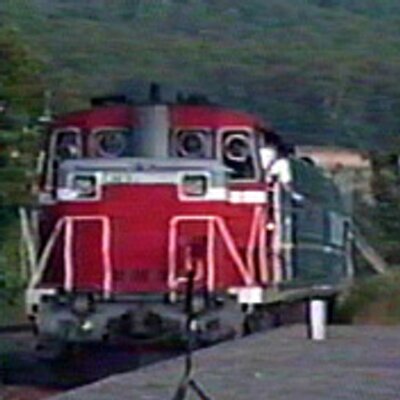 てんぽく(2k)'s profile picture