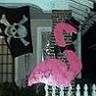 (((betha))) 🐈‍⬛💙🏴‍☠️'s profile picture