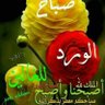 Profilbild von مالي دخل