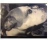 Sue's profile picture
