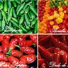 Pimenteira Brasil profil fotoğrafı