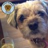 Profilbild von Miss CoCo Brooke
