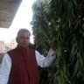 Dr Prem Choudhary's profile picture