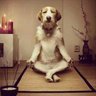 Kai 的头像