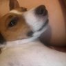 Profilbild von Jesus