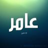 عامر بن علي 的头像