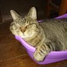 Фото профиля ちぃ🐱Sena🐱