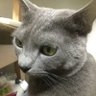 ★あるるん★ profil fotoğrafı
