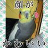 Фото профиля レオ隊長@ワクチン×7 うがい手洗い継続中