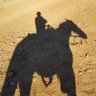 Brian Major's profile picture