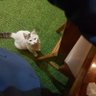 Efe profil fotoğrafı