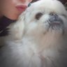 れいこ's profile picture