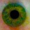 Neorotoxin's profile picture