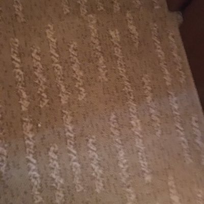 q8cubls's profile picture