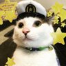 🐈寝々🇯🇵's profile picture