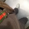 Фото профиля MB🏴󠁧󠁢󠁥󠁮󠁧󠁿