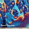 david crenshaw's profile picture