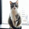 mojoさん profil fotoğrafı