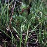 Carexsedge profil fotoğrafı