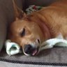 muggie wuggie profil fotoğrafı