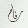 قاسِم's profile picture