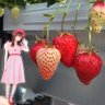 maruke 的头像