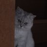 Фото профиля ゆう