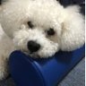 けー's profile picture