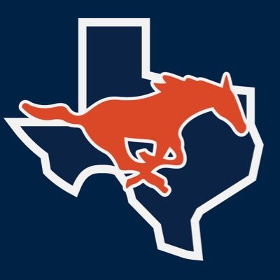 SachseStangs's profile picture