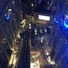 Фото профиля いか