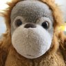 JUN's profile picture