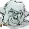 Profilbild von Andrew P. Monkey