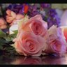 Фото профиля 🌸فجر🌸