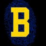 BluePrint Sports's profile picture
