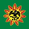 SeguridadNacionalMéxico's profile picture