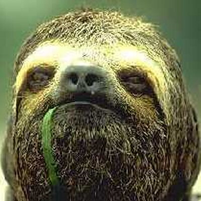 tonia mastrobuoni's profile picture