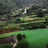 أحمد المالكي's profile picture