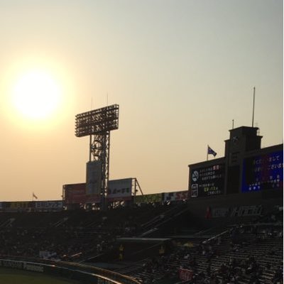 hibik_baseball's profile picture