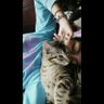 Sarigüeya 💙 profil fotoğrafı