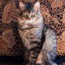Фото профиля Stella