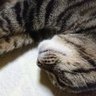 ことな 的头像