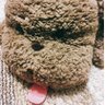 やまいも* profil fotoğrafı