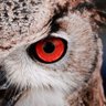 EithZico profil fotoğrafı