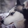 Profilbild von Inarys