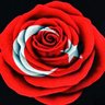 Ömer GÖKDOĞAN's profile picture