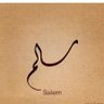 سالم بن عبدالله 的头像