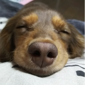 Forester_572's profile picture